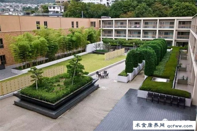 蒙古国贝格尔驼奶肾病疗养院的疗养方法