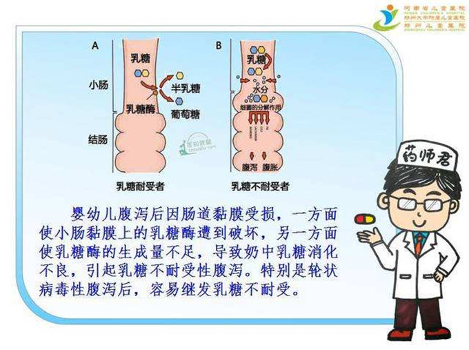 细数骆驼奶的功效
