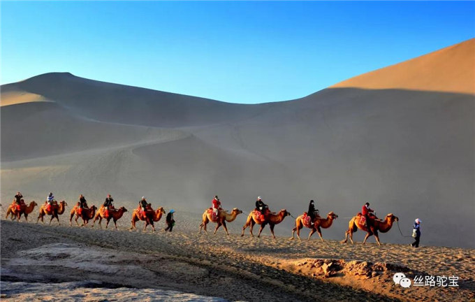 阿拉善：骆驼文化的守望者