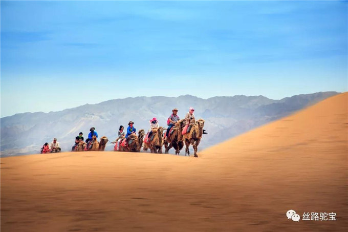 阿拉善：骆驼文化的守望者