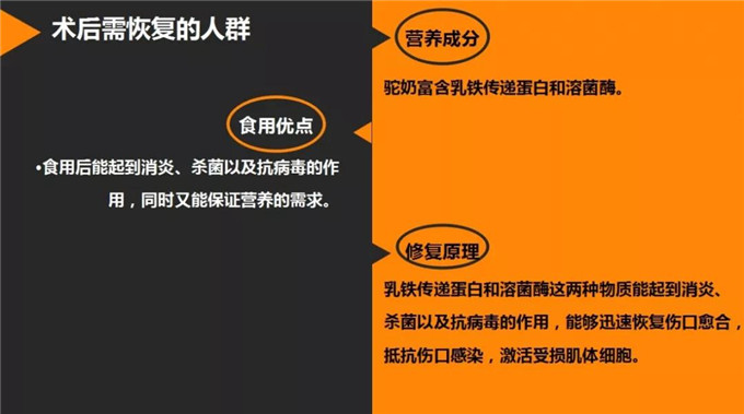 带你详细了解沙漠白金—骆驼奶