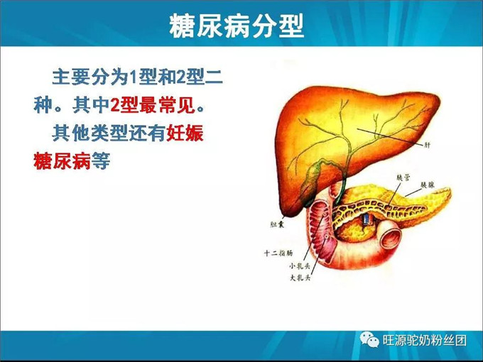 “调”糖尿病的医学营养——双峰驼驼奶