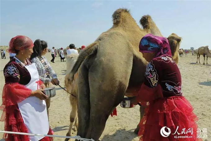 骆驼奶 —— 保护肾脏的“黄金奶”