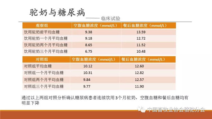 上古医学，骆驼奶研究 南京中医药大学教授 李海涛