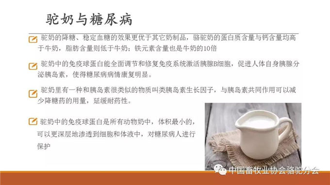 上古医学，骆驼奶研究 南京中医药大学教授 李海涛