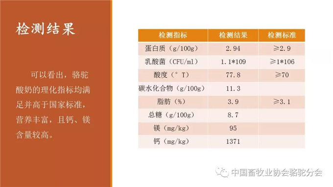 上古医学，骆驼奶研究 南京中医药大学教授 李海涛