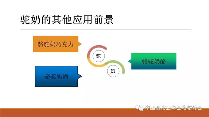 上古医学，骆驼奶研究 南京中医药大学教授 李海涛