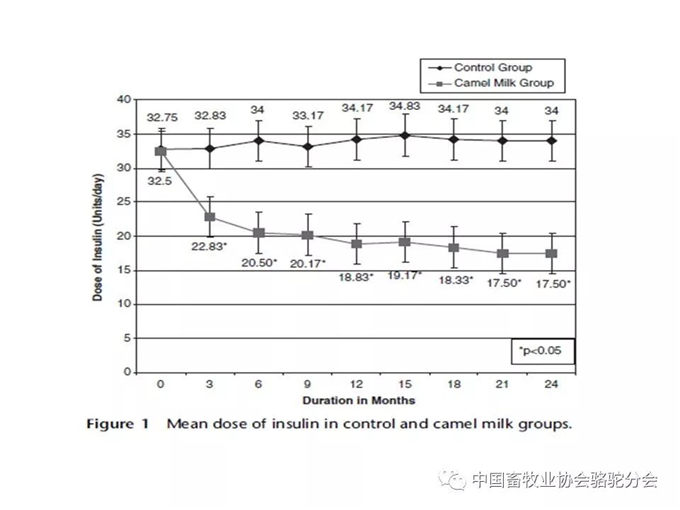 骆驼奶定向研究应用-新疆大学教授 杨洁