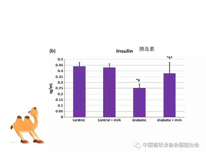 骆驼奶定向研究应用-新疆大学教授 杨洁