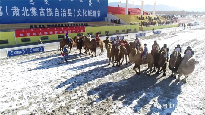 新春佳节话骆驼—甘肃北的骆驼