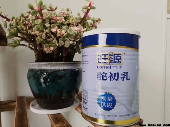 孕妇喝骆驼乳的6大好处，看完了告诉更多的人