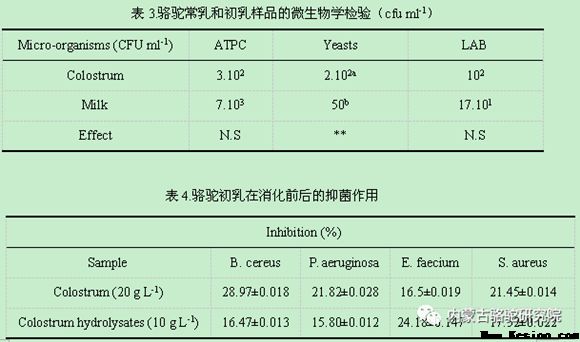 骆驼初乳的营养成分和其酶解后的抑菌活性