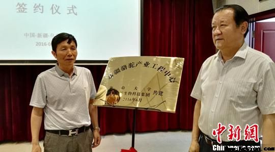 “新疆骆驼产业工程中心”挂牌新疆大学 扩展驼乳生物制药领域