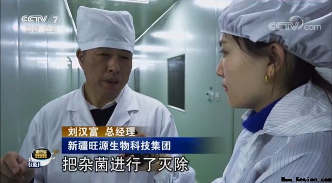 央视聚焦三农：新疆骆驼-旺源骆驼奶专卖网