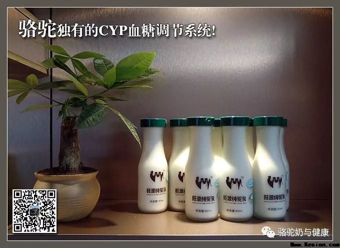 内蒙古骆驼研究院:骆驼奶与肝脏、肾脏疾病治疗