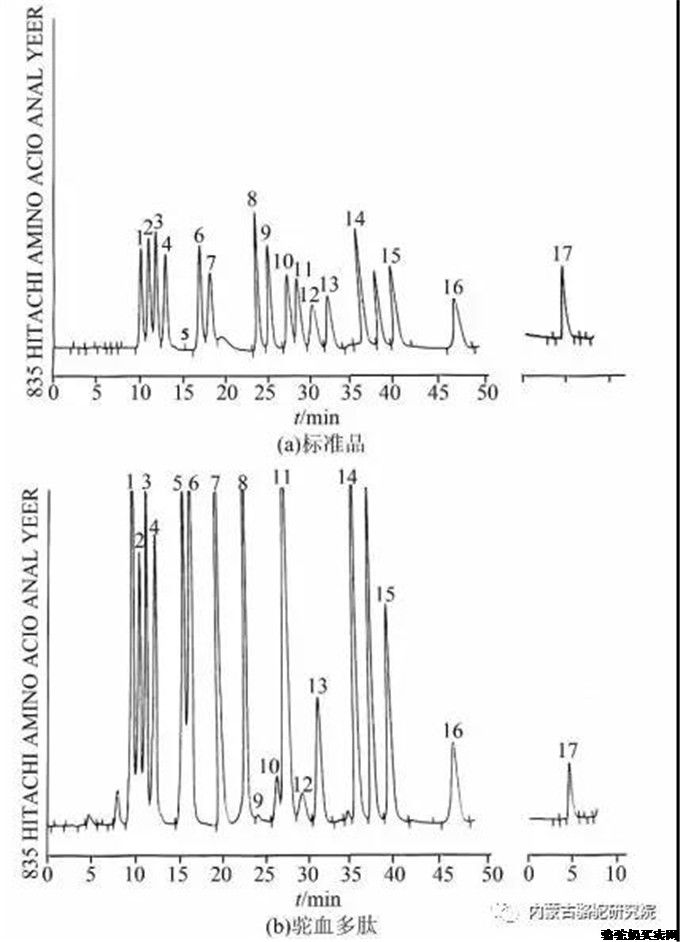 驼血多肽的氨基酸含量分析