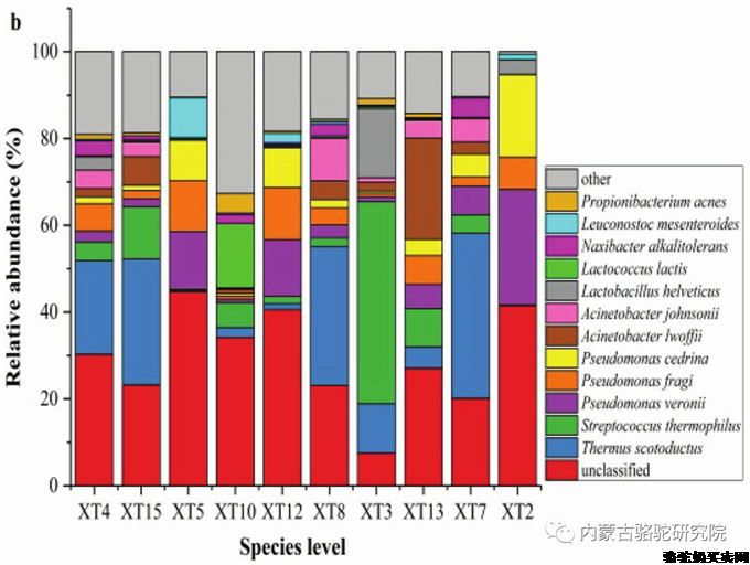 内蒙古鲜骆驼乳理化性质、微生物群及乳酸菌分析