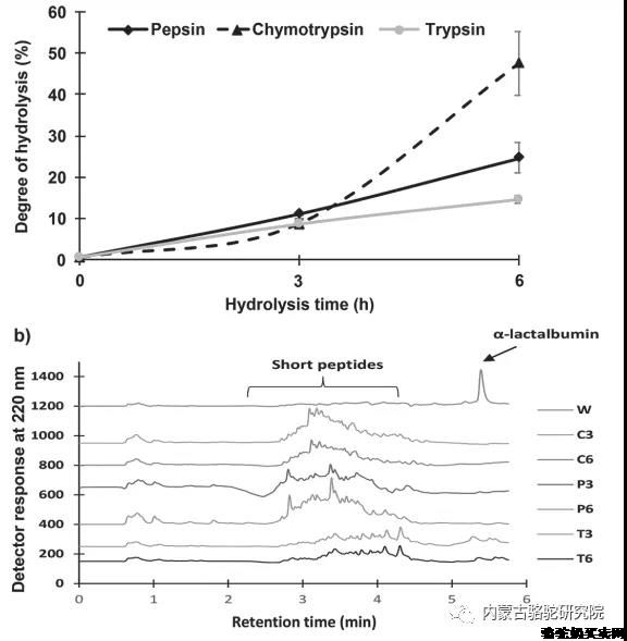 骆驼乳清蛋白水解物对肝癌细胞，二肽基肽酶-IV和炎症的抑制特性