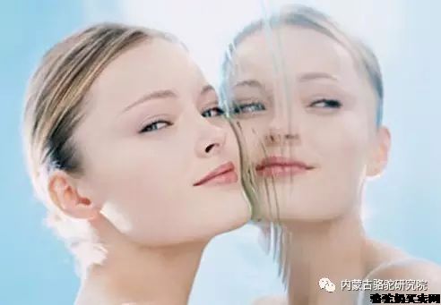 特别需要喝骆驼乳的10种人