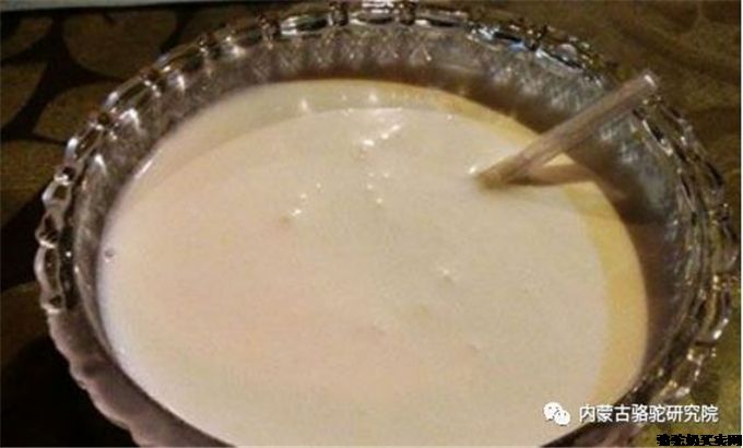 骆驼奶的成分和治疗特性