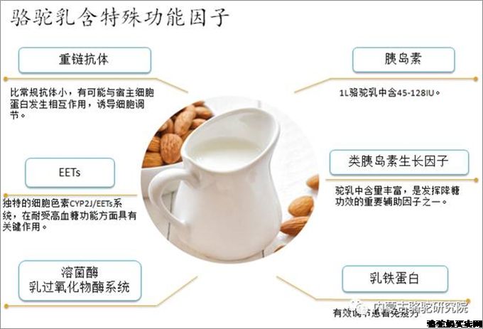 骆驼乳的调节和稳定情绪作用