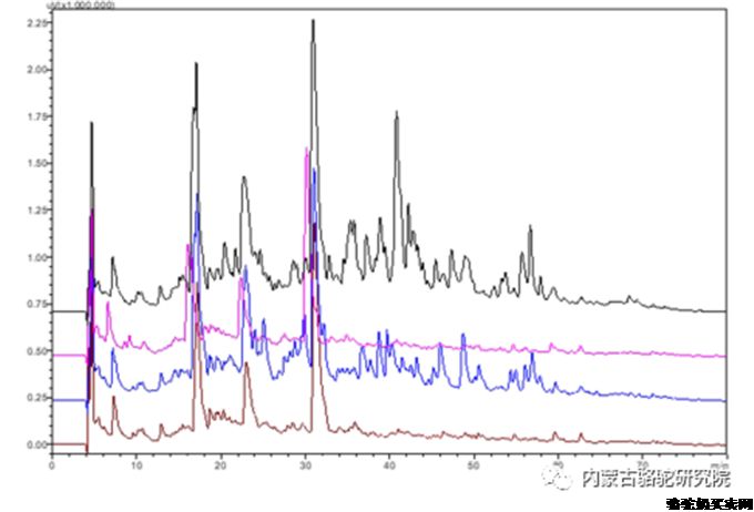 酪蛋白和乳清蛋白释放的骆驼乳和驴乳肽的体外抗氧化和抗糖尿病能力评价