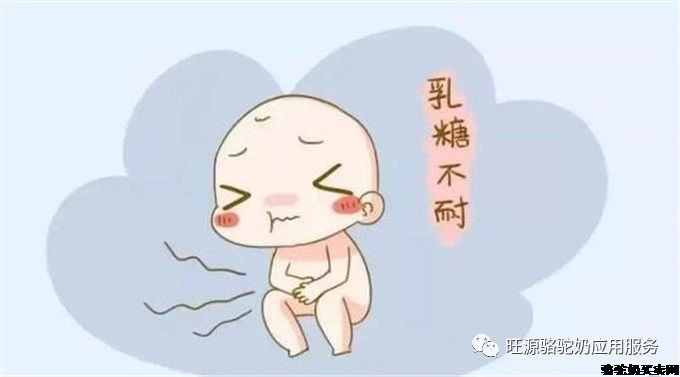 乳糖不耐症患者到底能-旺源骆驼奶专卖网